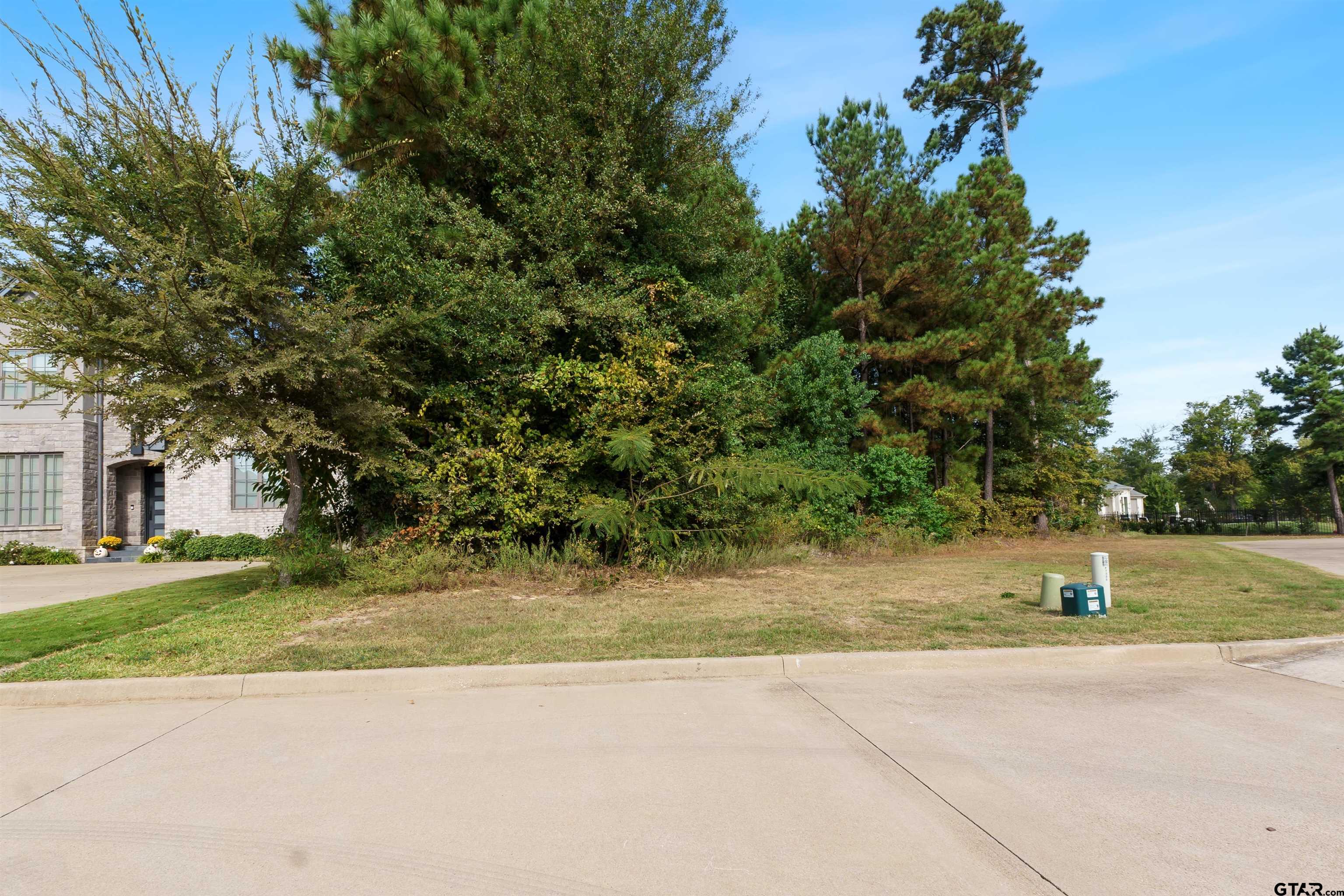 7535 Cross Gate Way Tyler, TX 75703 - Photo 8 of 17 a view of a yard with a tree