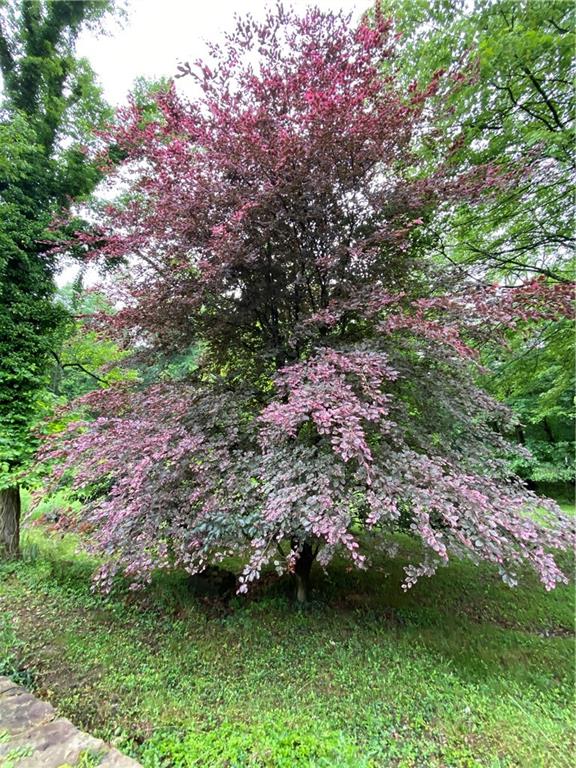 9752 Lindsay Road Pittsburgh, PA 15237 - Photo 24 of 25 Gallery Image 24