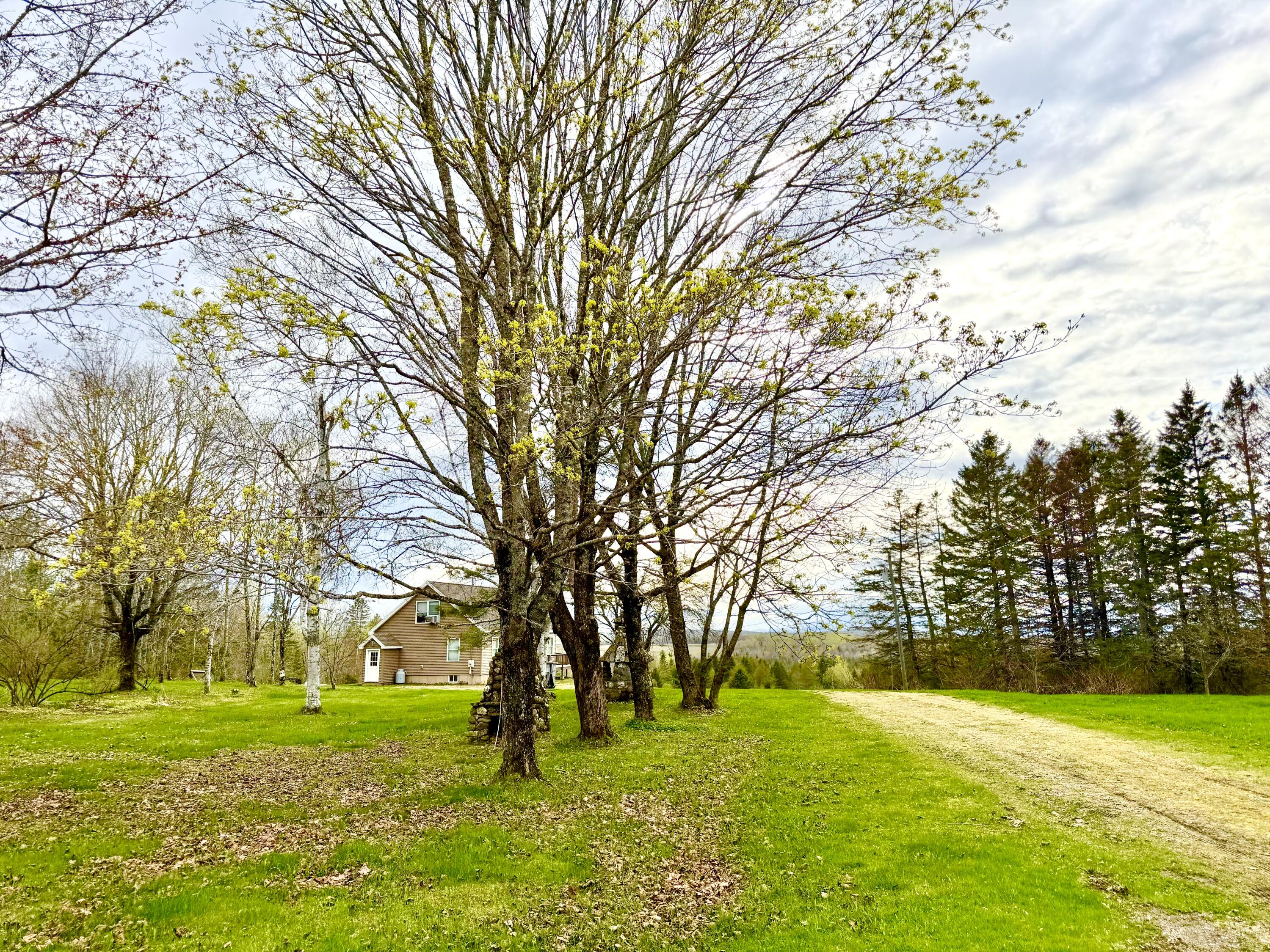 521 Gallison Road Sherman, ME 04776 - Photo 91 of 96 Home Sits Off Road