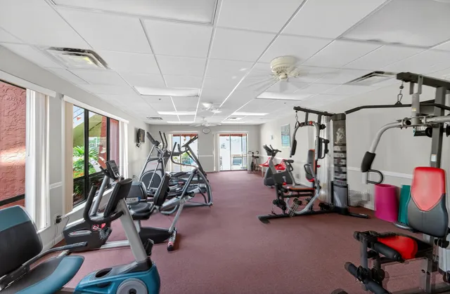 a view of yard with tree and green space