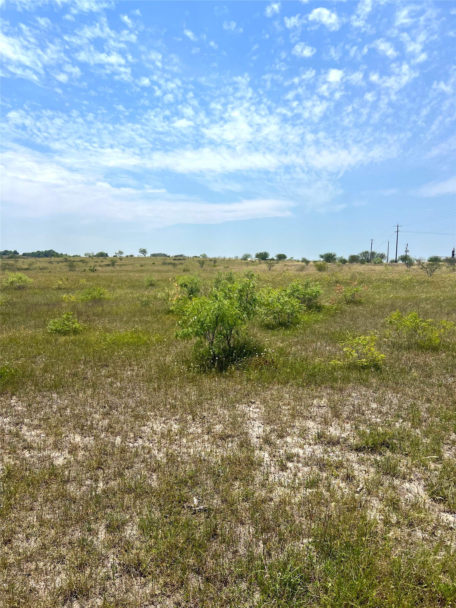 0 Cr 304 Road Smiley, TX 78159 - Photo 2 of 9 View of undeveloped land with rural landscape