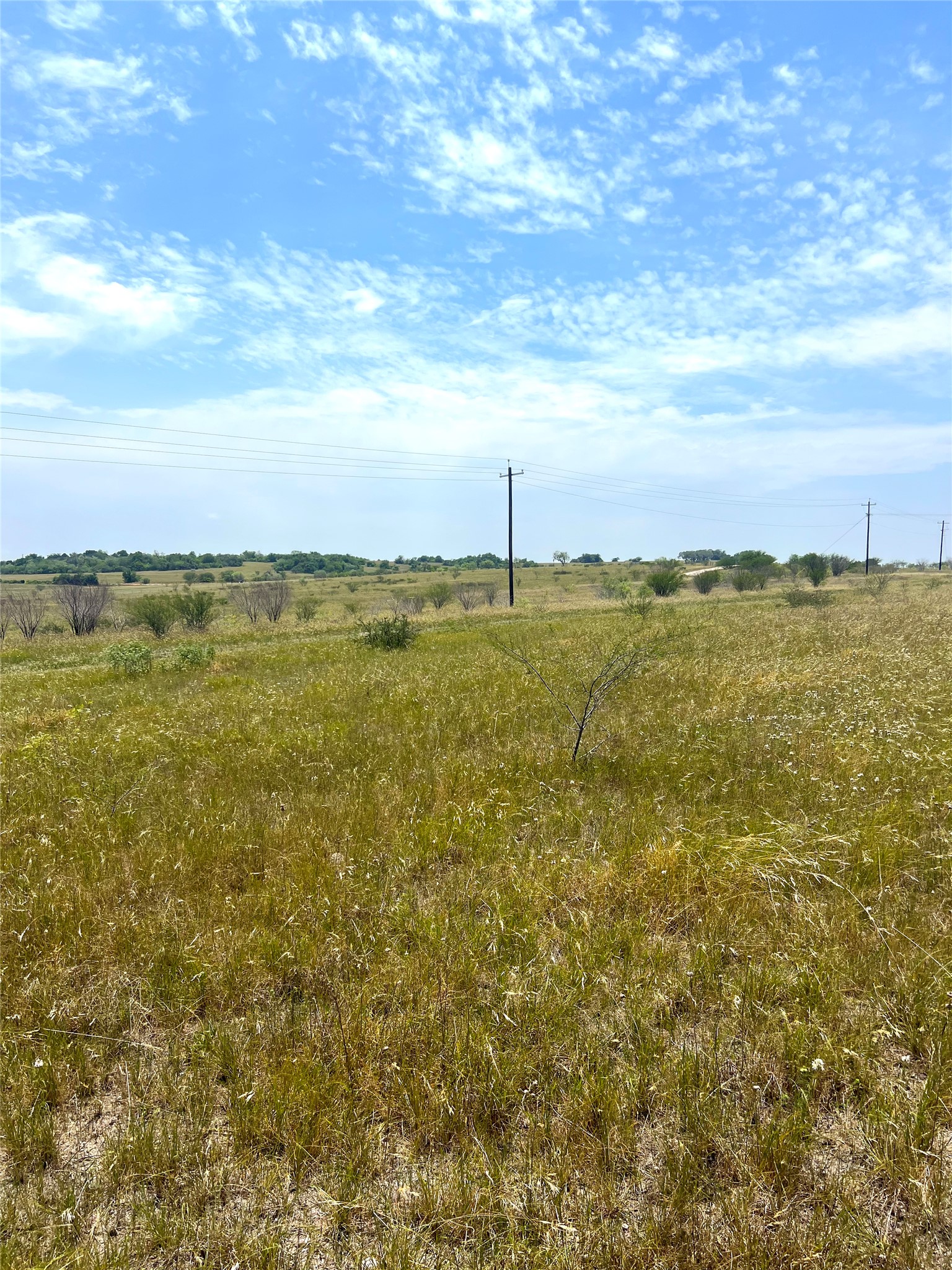 0 Cr 304 Road Smiley, TX 78159 - Photo 4 of 9 View of undeveloped land featuring rural landscape