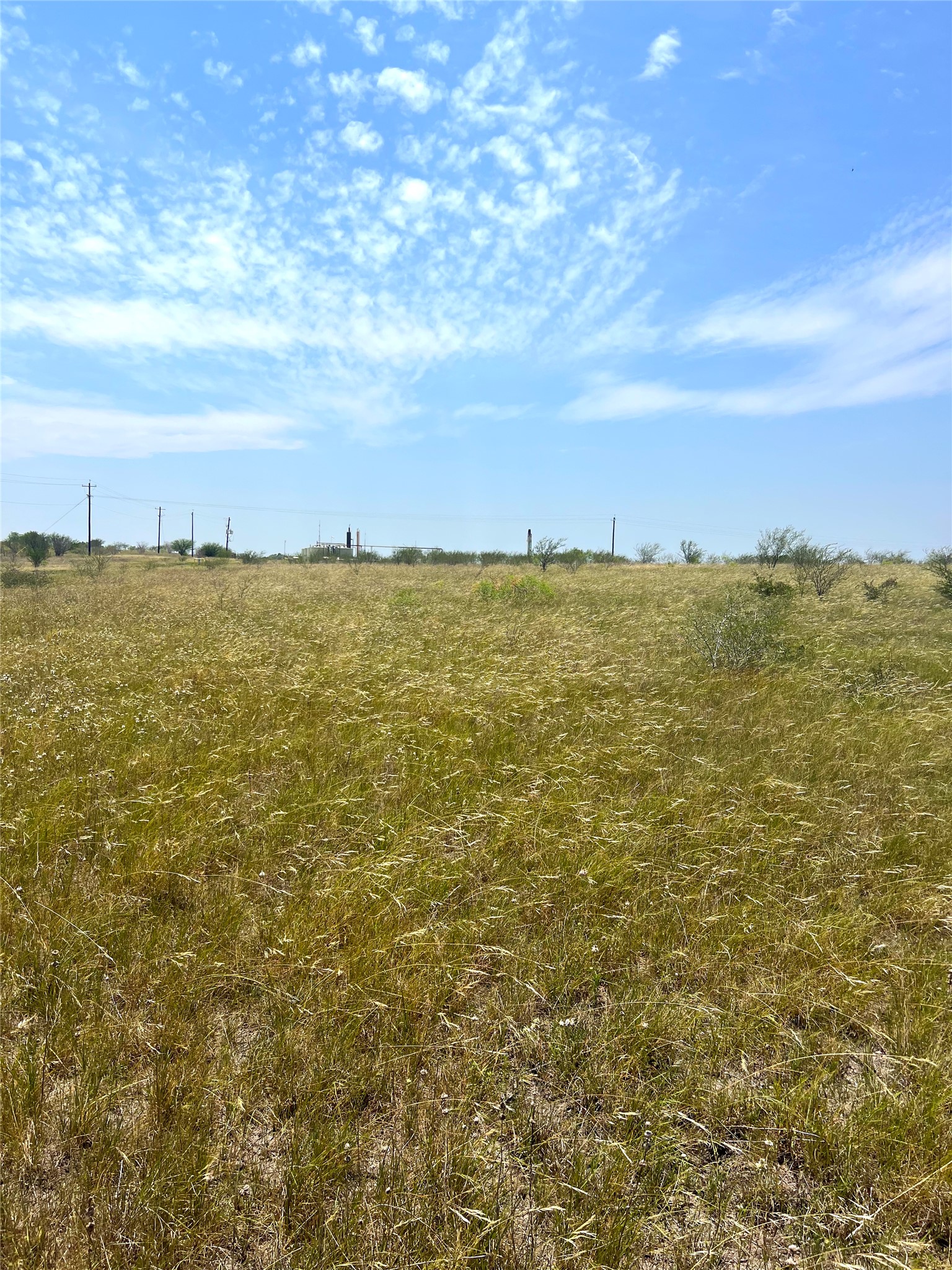 0 Cr 304 Road Smiley, TX 78159 - Photo 5 of 9 View of nature featuring rural landscape