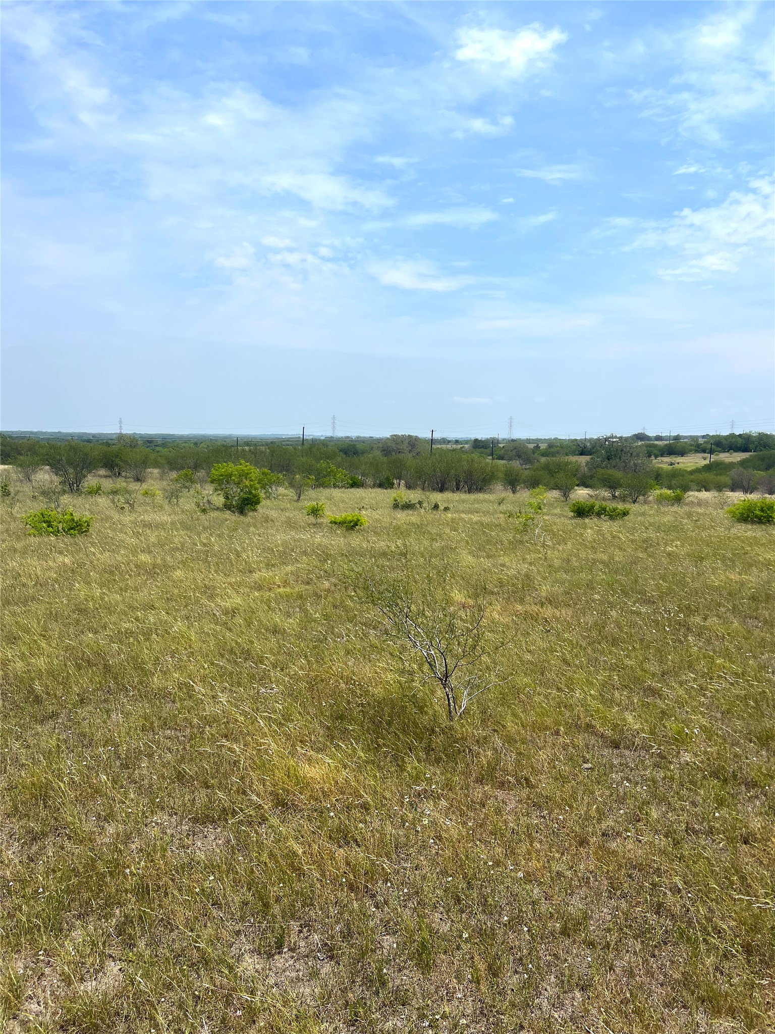 0 Cr 304 Road Smiley, TX 78159 - Photo 8 of 9 View of local wilderness featuring rural landscape