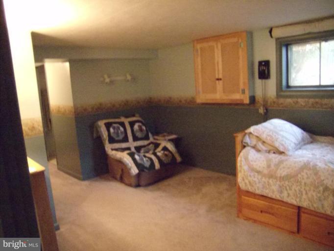 2247 Mountain Road Front Royal, VA 22630 - Photo 10 of 15 Bedroom in the basement