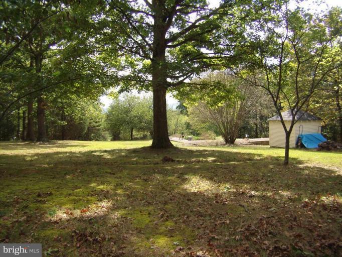 2247 Mountain Road Front Royal, VA 22630 - Photo 13 of 15 Front yard