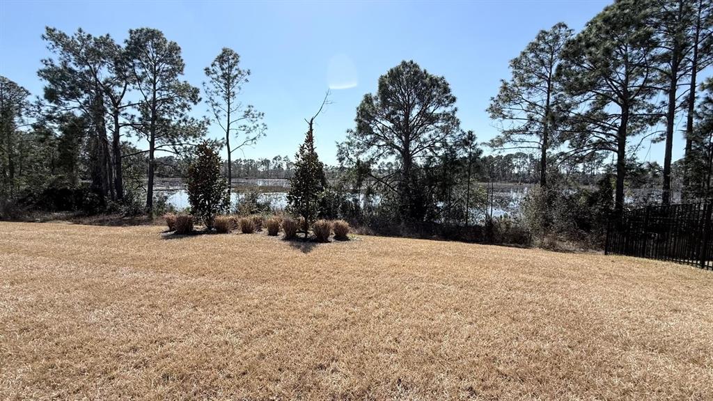 17834 Adrift Road Winter Garden, FL 34787 - Photo 18 of 35