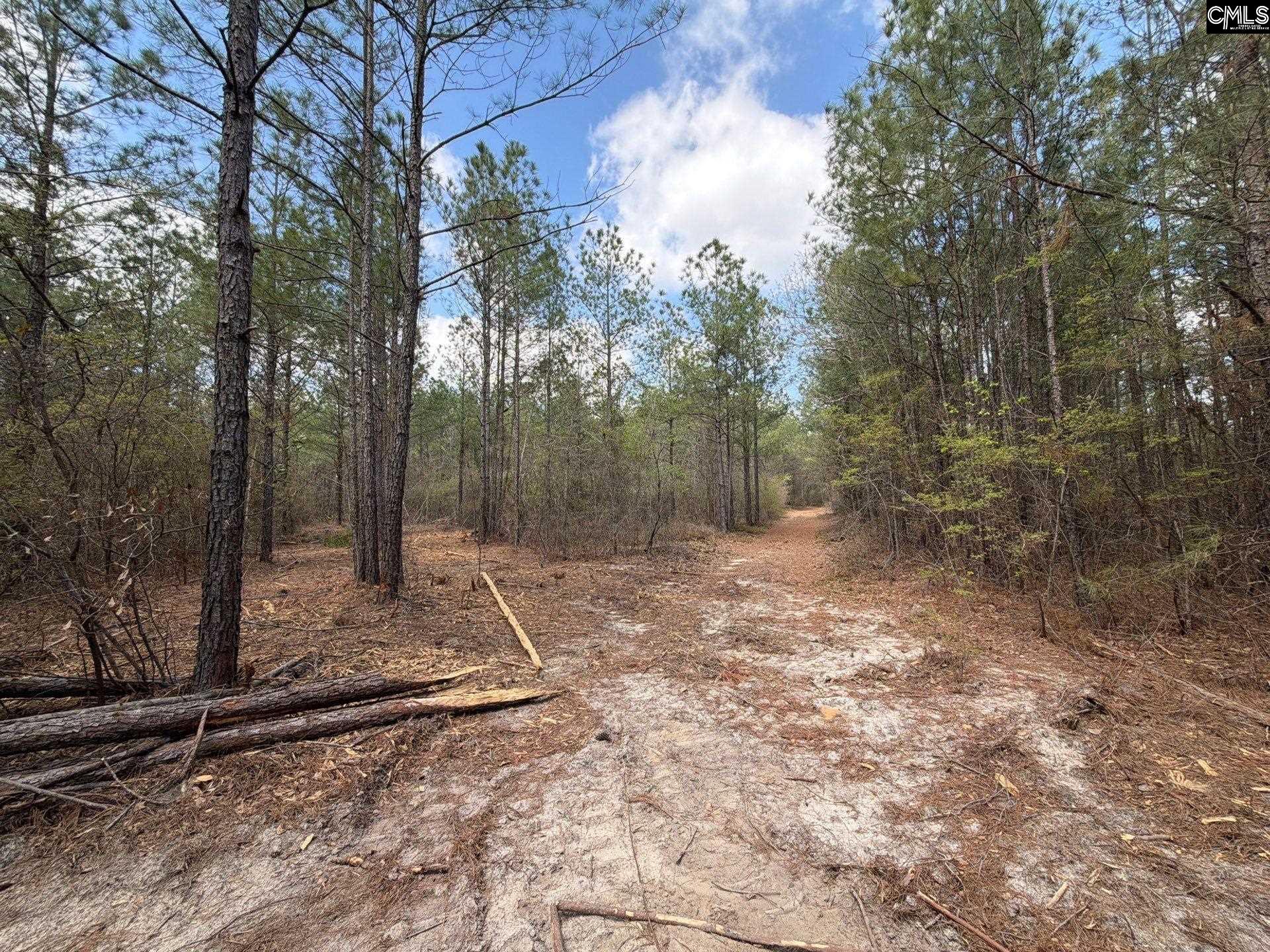 4 Mt Calvary Rd Ridge Spring Ridge Spring, SC 29129 - Photo 24 of 40