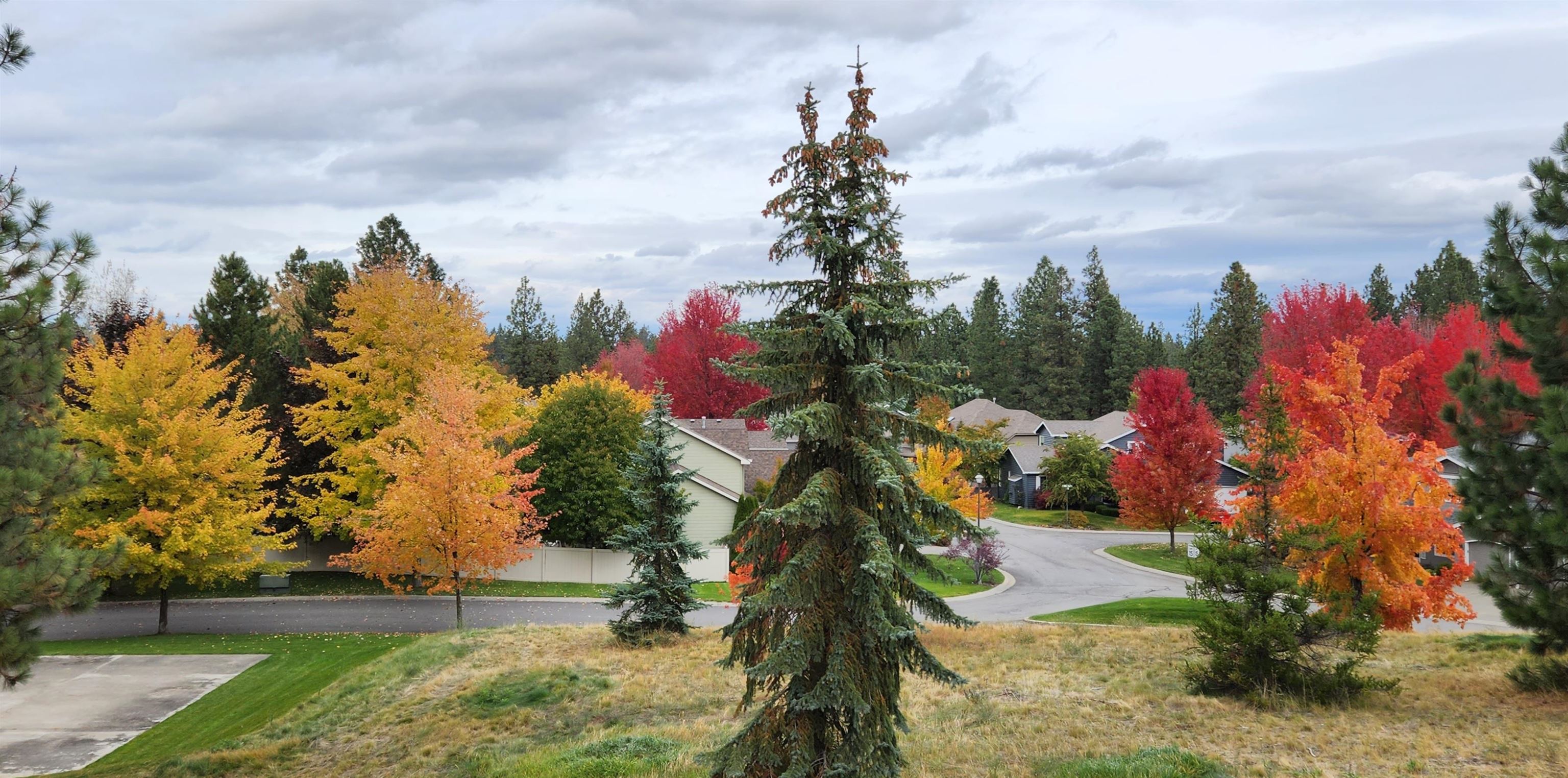 4304 South Vista Court Spokane, WA 99223 - Photo 23 of 25 Gallery Image 23