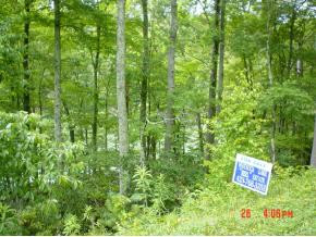 Lot 2 Sink Valley Road, Unit 2 Butler, TN 37640 - Photo 4 of 4 Photo 4