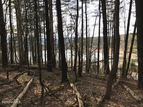 0 Pinecrest Hill Road Egremont, MA 01230 - Photo 11 of 12 a view of a backyard of the house
