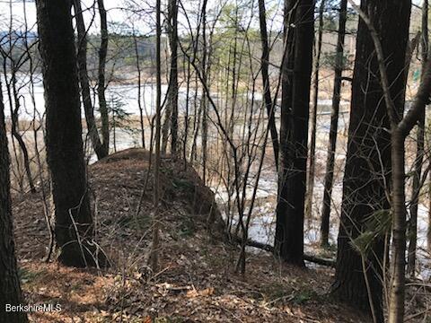 0 Pinecrest Hill Road Egremont, MA 01230 - Photo 4 of 12 a backyard of a house with lots of green space