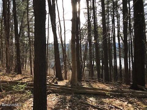 0 Pinecrest Hill Road Egremont, MA 01230 - Photo 5 of 12 a view of a yard with large trees