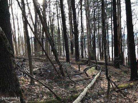 0 Pinecrest Hill Road Egremont, MA 01230 - Photo 7 of 12 a view of a backyard of the house