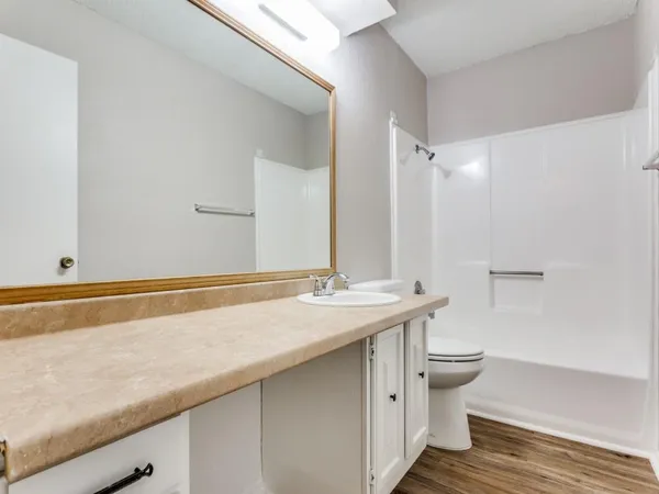 a bathroom with a sink and a toilet