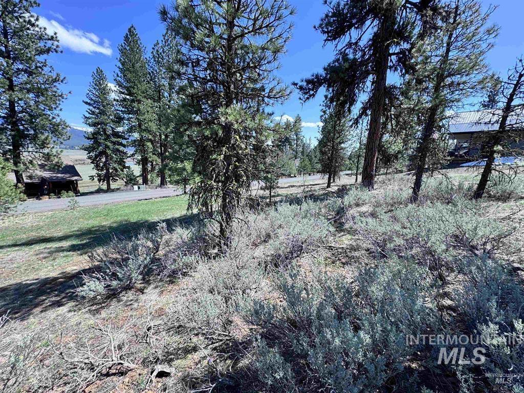 Lot 19 Hot Springs Road New Meadows, ID 83654 - Photo 6 of 28