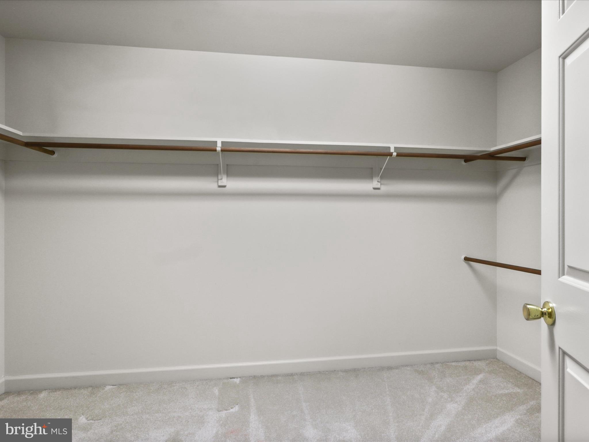 13124 South River Road Sumerduck, VA 22742 - Photo 31 of 54 a close up view of racks on the wall