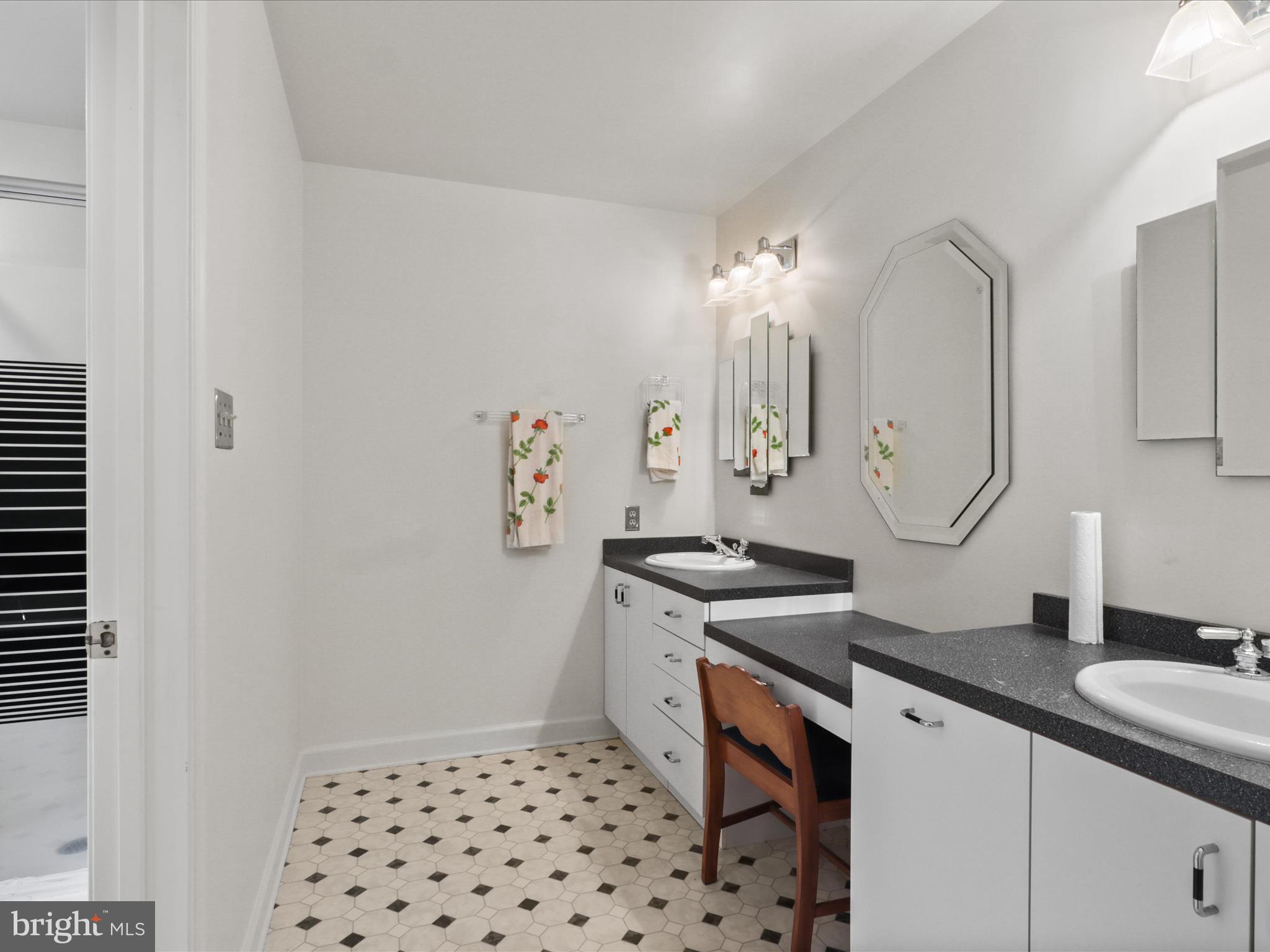 13124 South River Road Sumerduck, VA 22742 - Photo 32 of 54 a spacious bathroom with a sink a vanity and a mirror