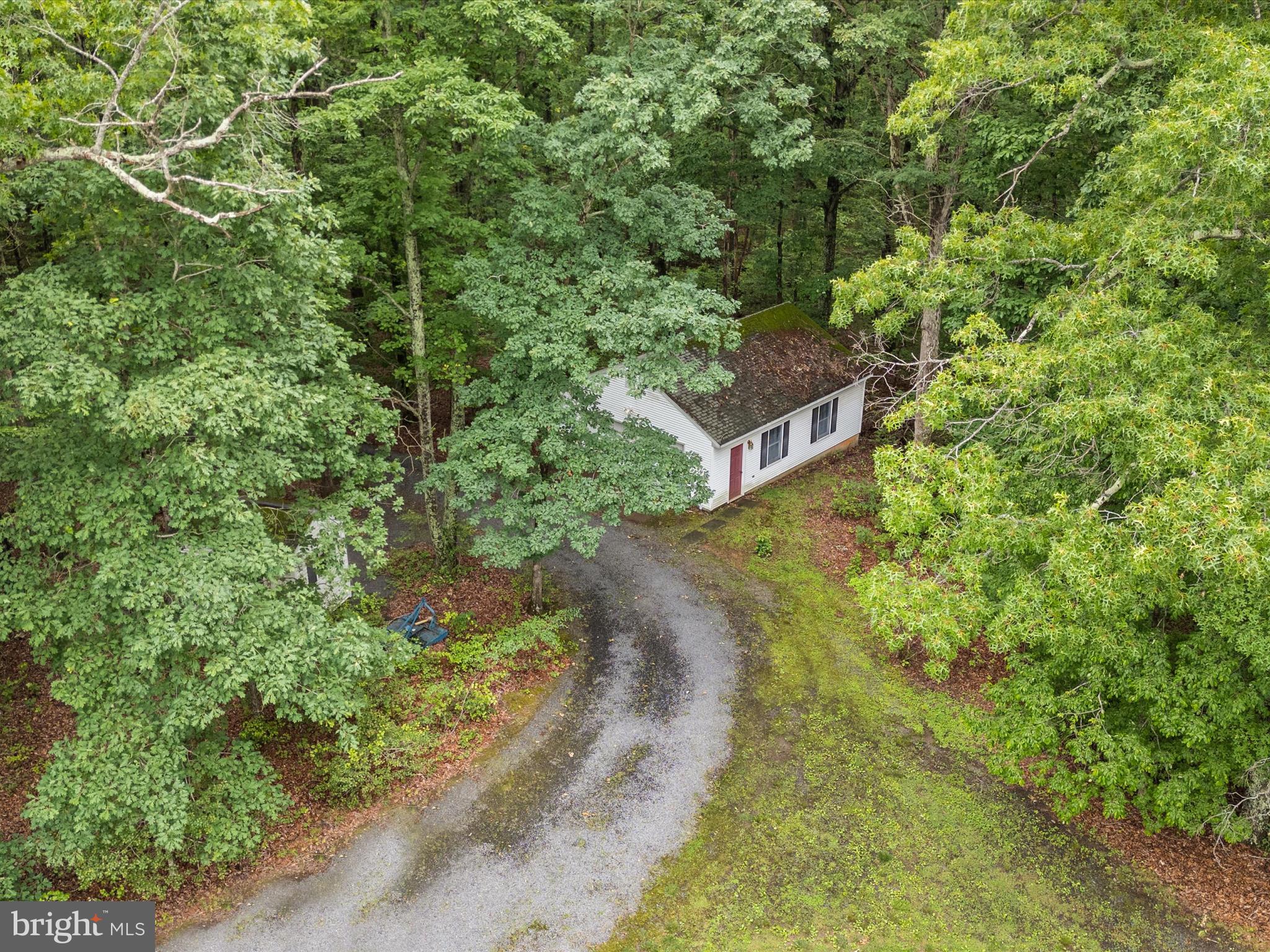 13124 South River Road Sumerduck, VA 22742 - Photo 50 of 54 a view of a yard with plants and large trees