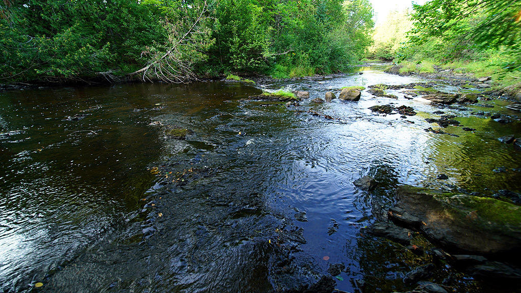 207 Hodgdon Mills Road Hodgdon, ME 04730 - Photo 42 of 42 207-hodgdon-mills-rd-3