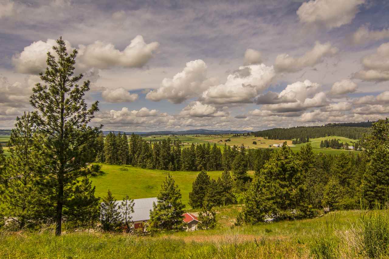 12212 East Heglar Road Mead, WA 99021 - Photo 17 of 20