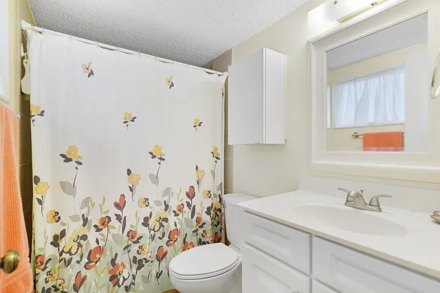 a bathroom with a sink a toilet and a shower curtain