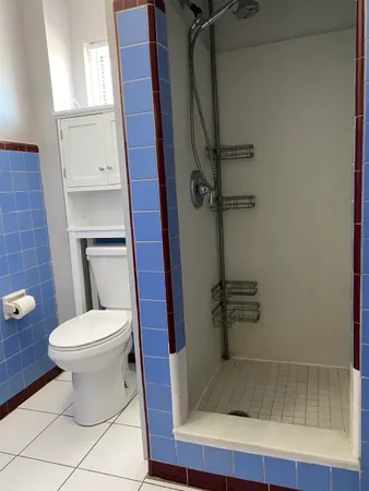 a bathroom with a toilet and a shower