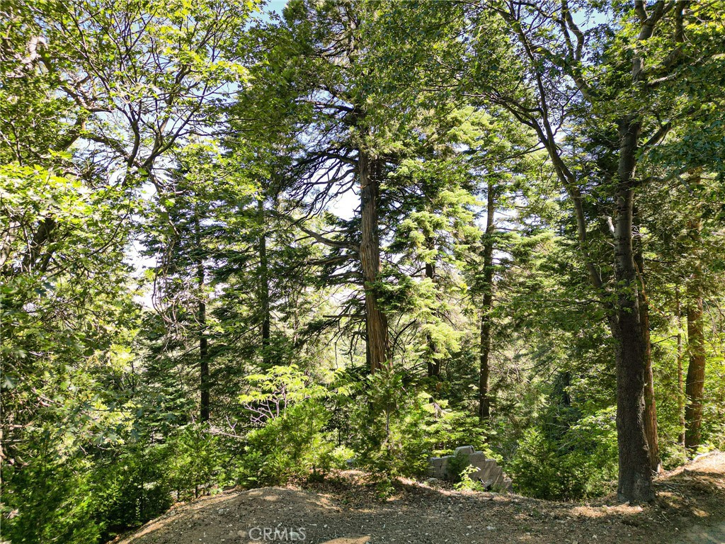746 Blue Ridge Drive Skyforest, CA 92385 - Photo 11 of 18 Ground level photo