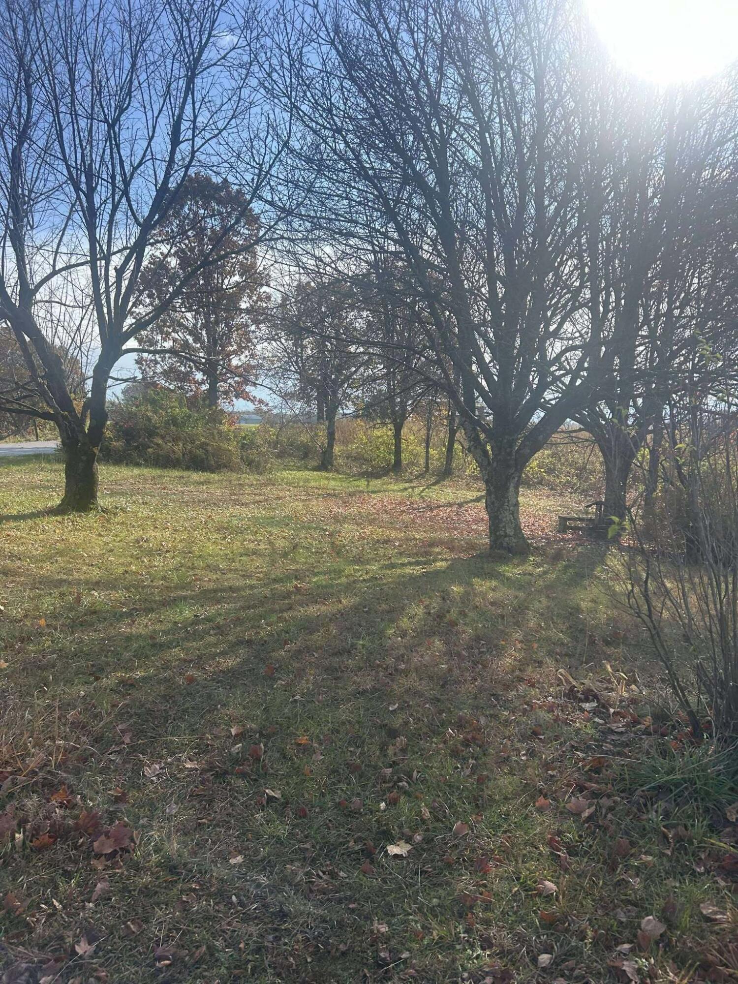 1325 Weaver Ridge Road Morehead, KY 40351 - Photo 3 of 17 581989274_707641405711311_78890429983458