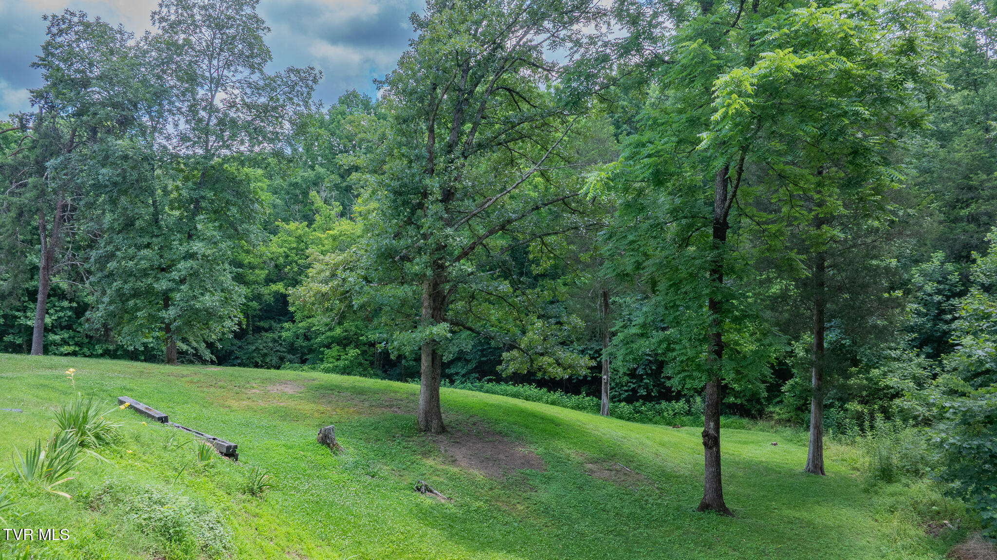4035 Ridge Road Kingsport, TN 37660 - Photo 30 of 35 dji_fly_20260707_133826_0589_17834460857