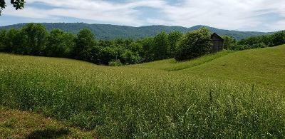 1073 Edgehill Road Montvale, VA 24122 - Photo 4 of 34 rp views