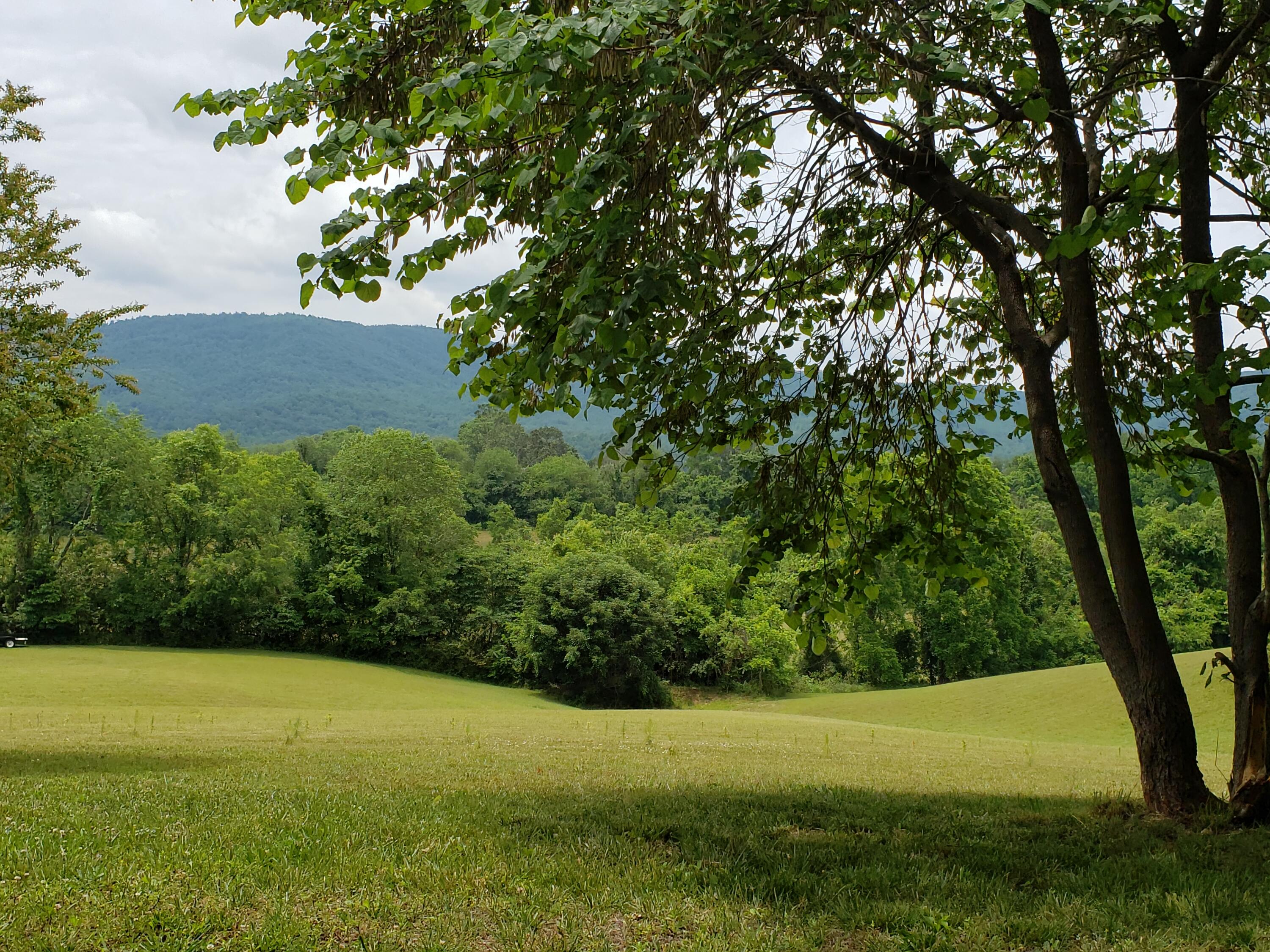 1073 Edgehill Road Montvale, VA 24122 - Photo 6 of 34 view