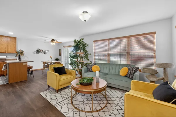 a living room with furniture and a potted plant