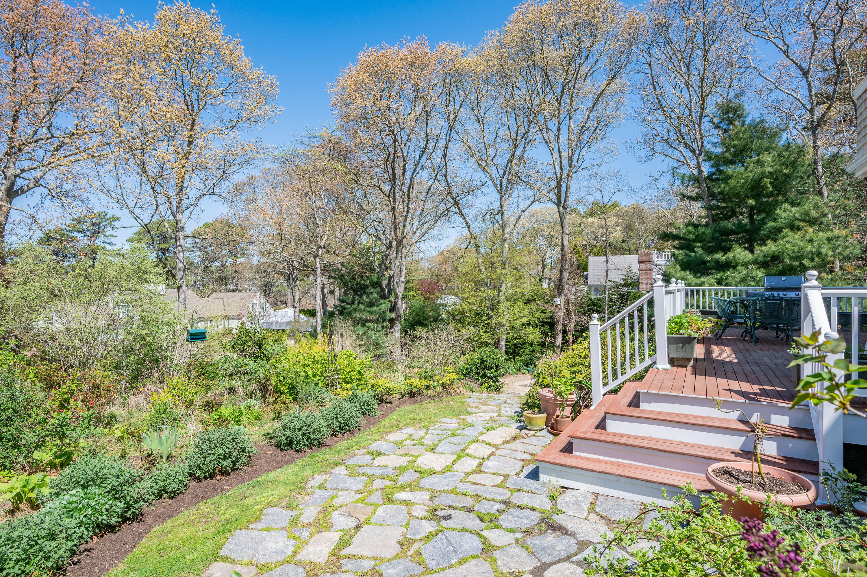 110 Clamshell Cove Road Cotuit, MA 02635 - Photo 39 of 56 a garden view with plants and trees