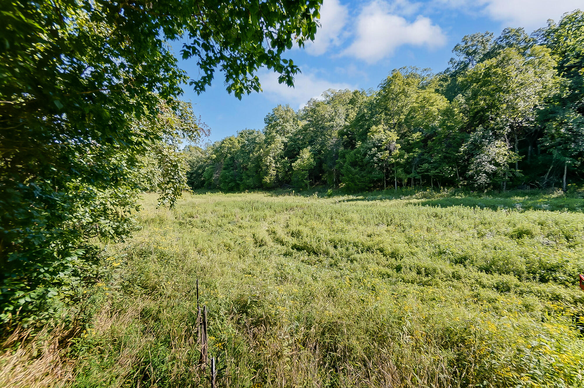 319 Muinn Road Butler, KY 41006 - Photo 22 of 30 Gallery Image 22