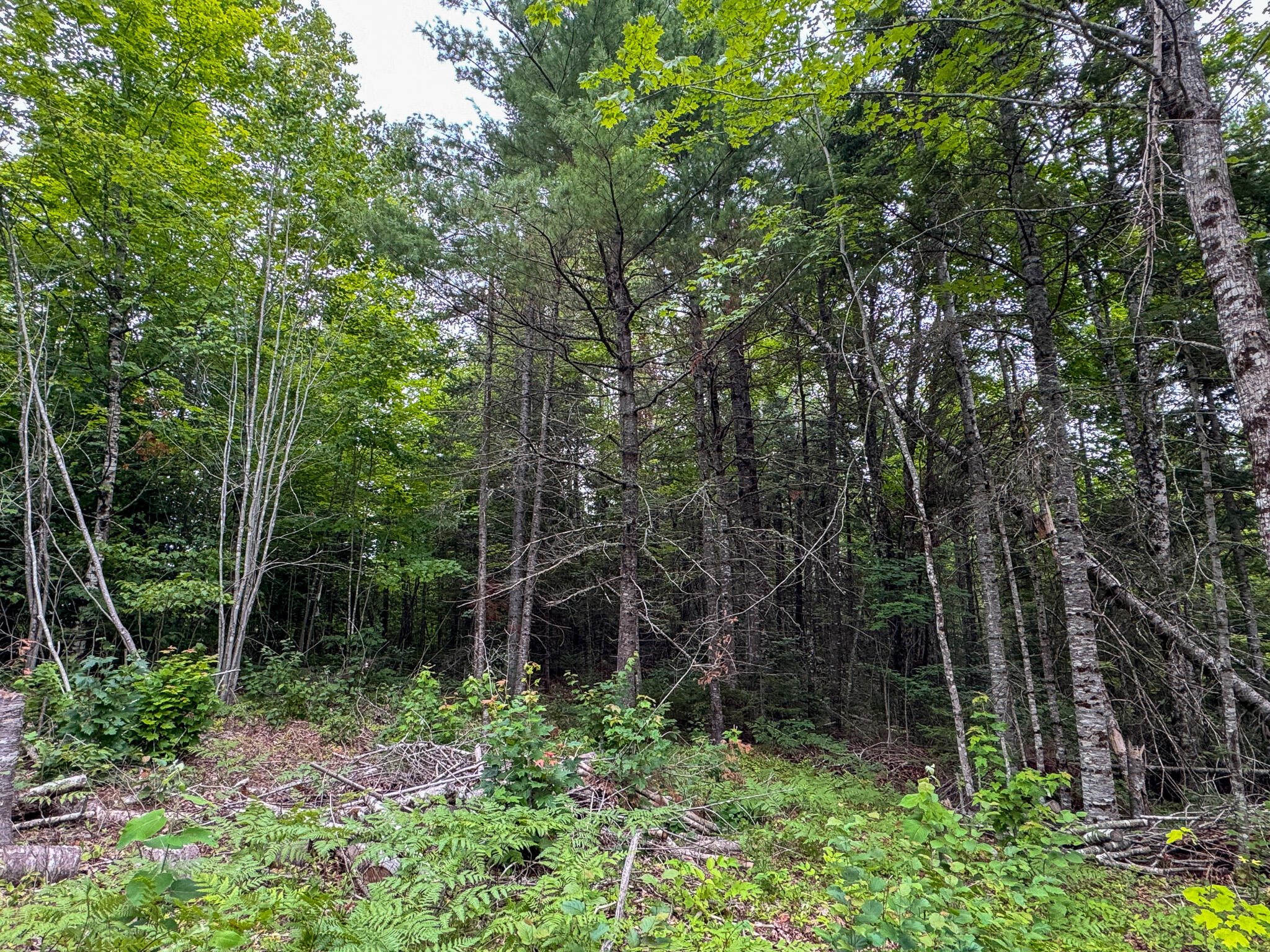 191 Old Winn Road Springfield, ME 04487 - Photo 16 of 19 16