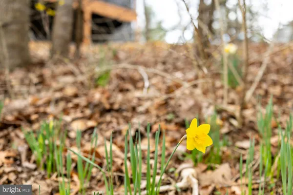 $645,000 | 1034 Greenview Drive, Basye, VA 22810