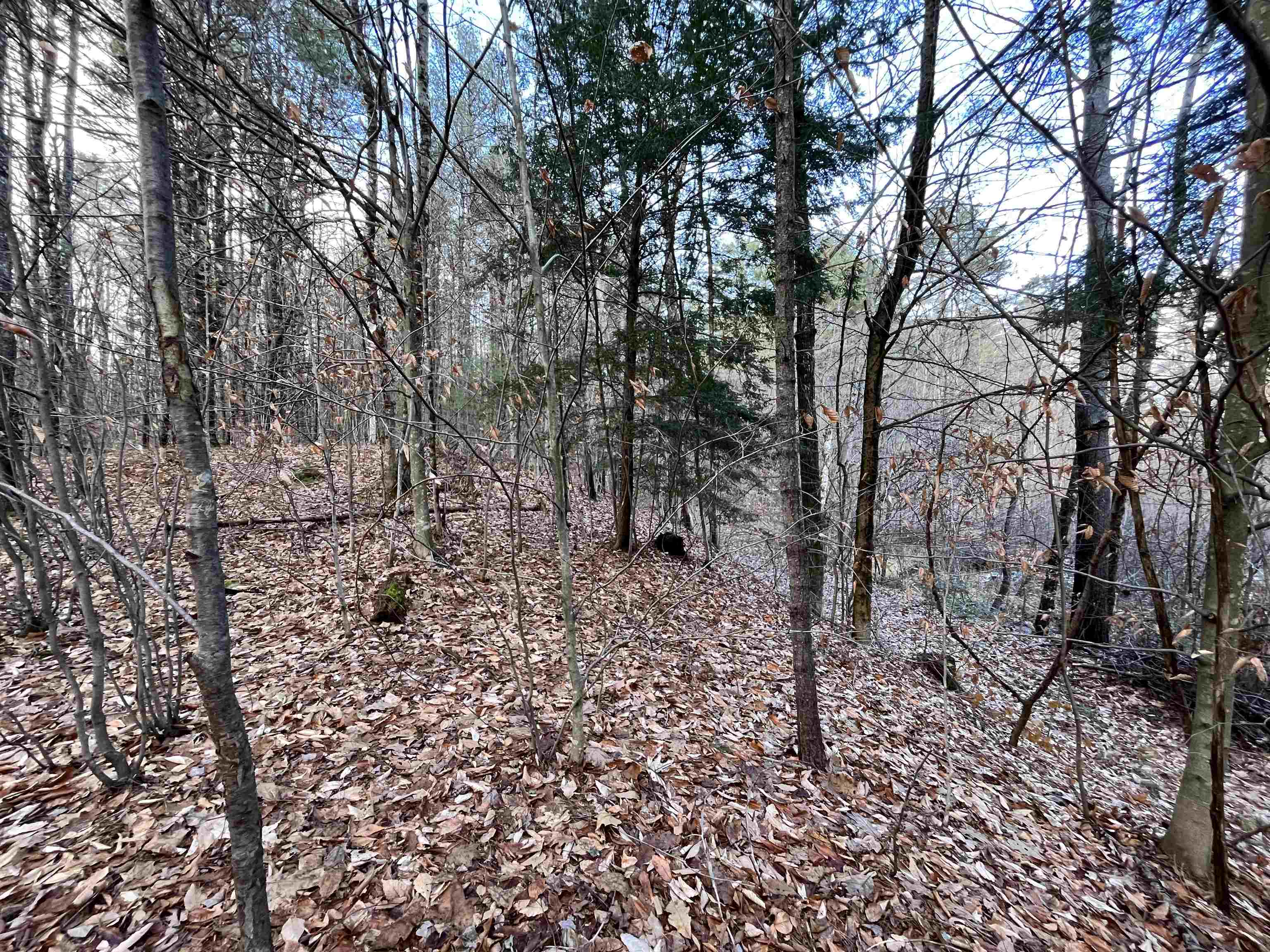 0 Route 114 Sutton Nh 03221 North Sutton, NH 03260 - Photo 29 of 31