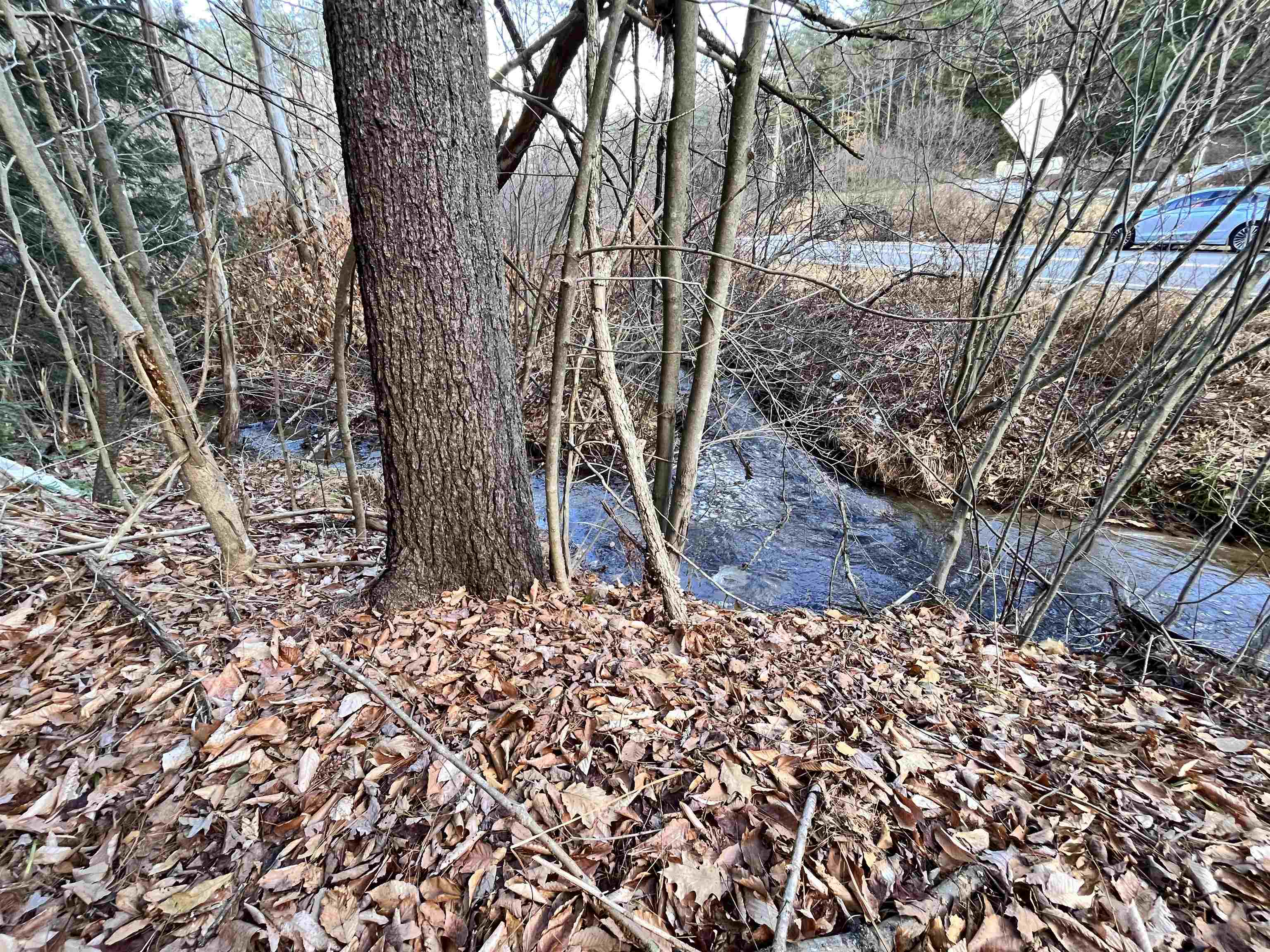 0 Route 114 Sutton Nh 03221 North Sutton, NH 03260 - Photo 31 of 31