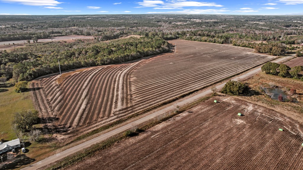 0 Gilley Mill Road Headland, AL 36345 - Photo 12 of 14