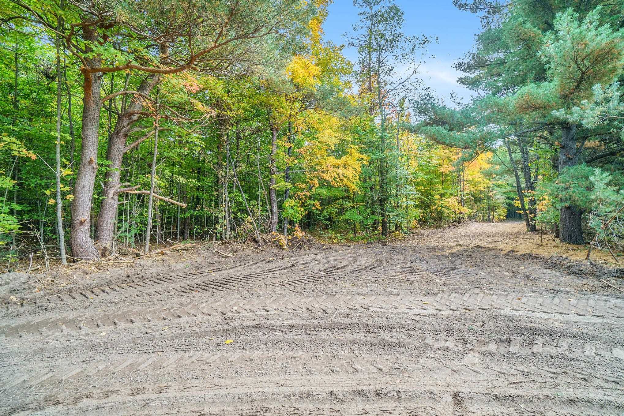 0 Reynolds Road, Unit LOT M MAPLE Interlochen, MI 49643 - Photo 3 of 5