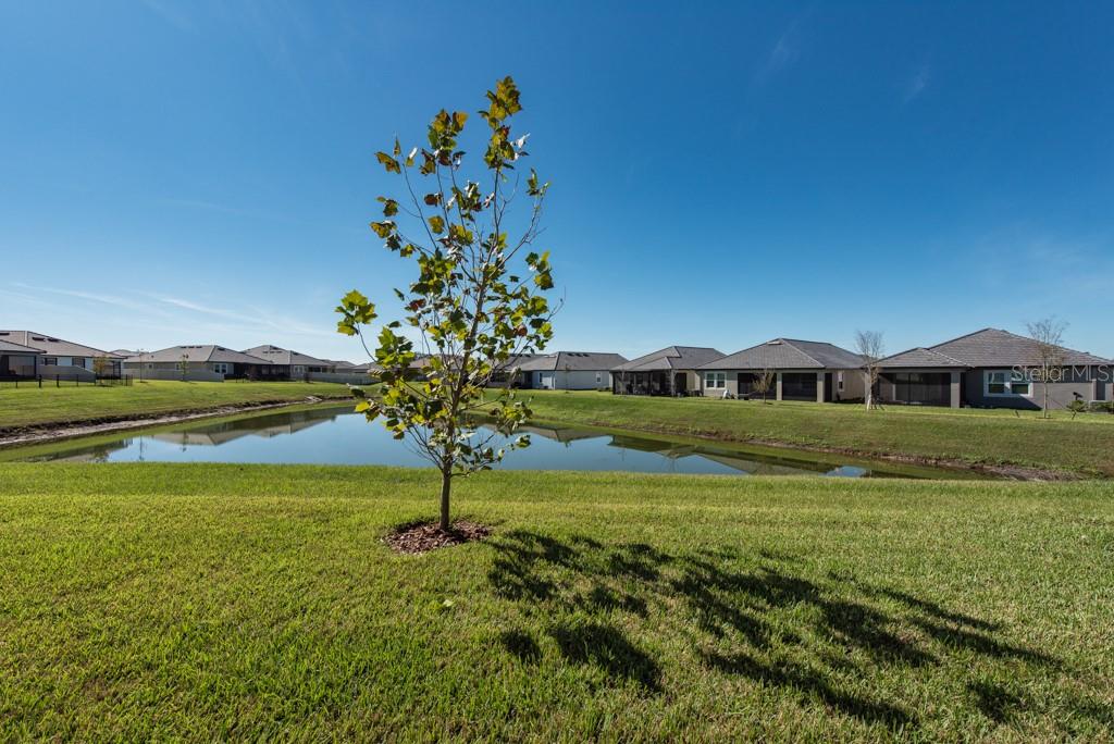 10976 Gable Dig Loop San Antonio, FL 33576 - Photo 23 of 37 a view of a house with a yard