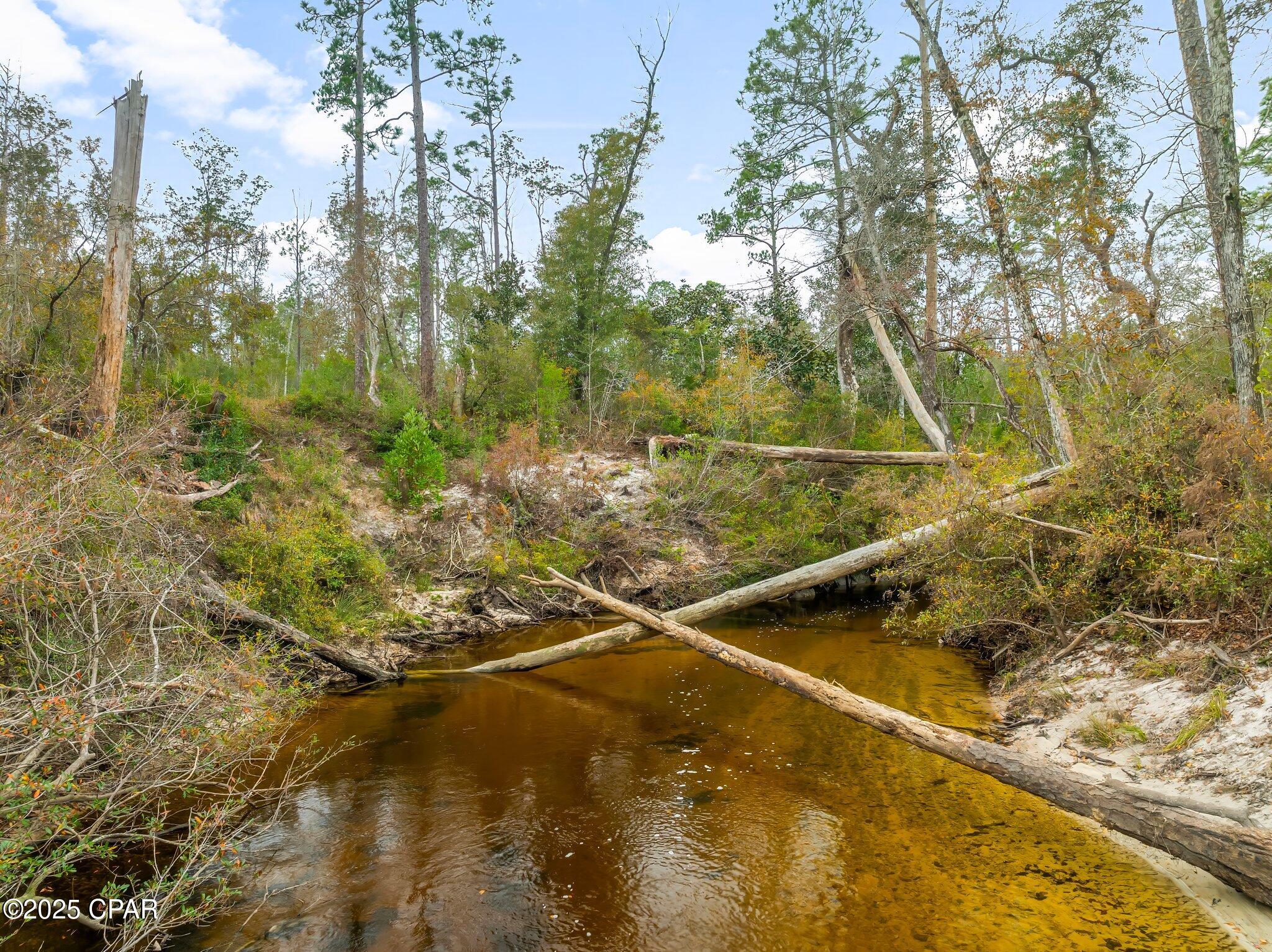 20527 Ring Road Fountain, FL 32438 - Photo 38 of 54 Gallery Image 38