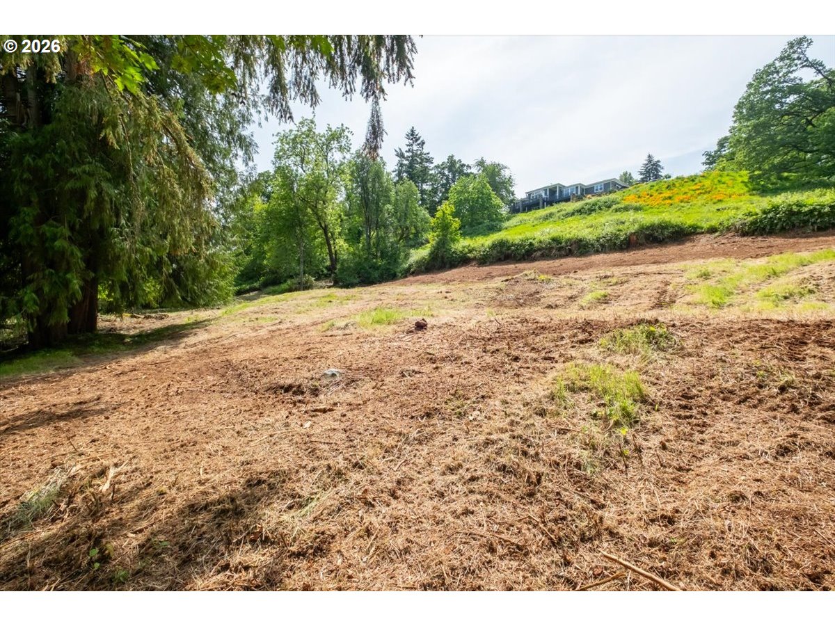 3835 Edison Road Northeast Silverton, OR 97381 - Photo 5 of 39