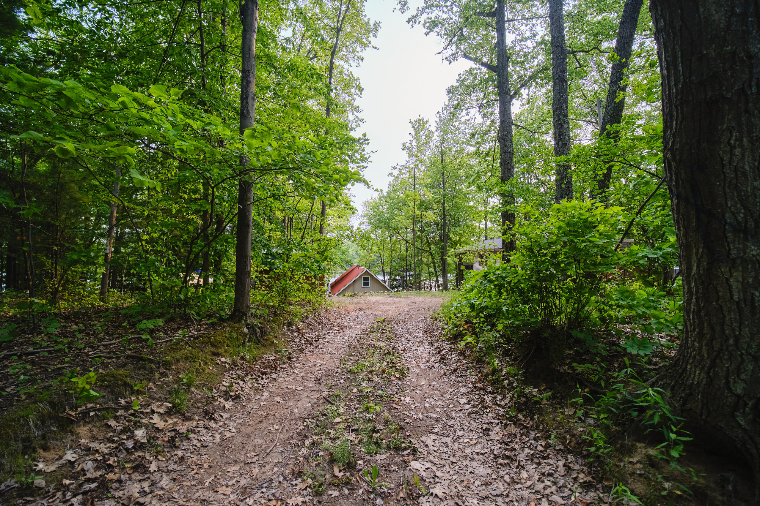 6387 North Larson Road Fountain, MI 49410 - Photo 50 of 75 6387_N_Larson-01