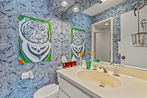a bathroom with a sink mirror vanity and toilet