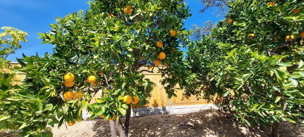 3477 Vicki Court Simi Valley, CA 93063 - Photo 21 of 23 a view of a tree