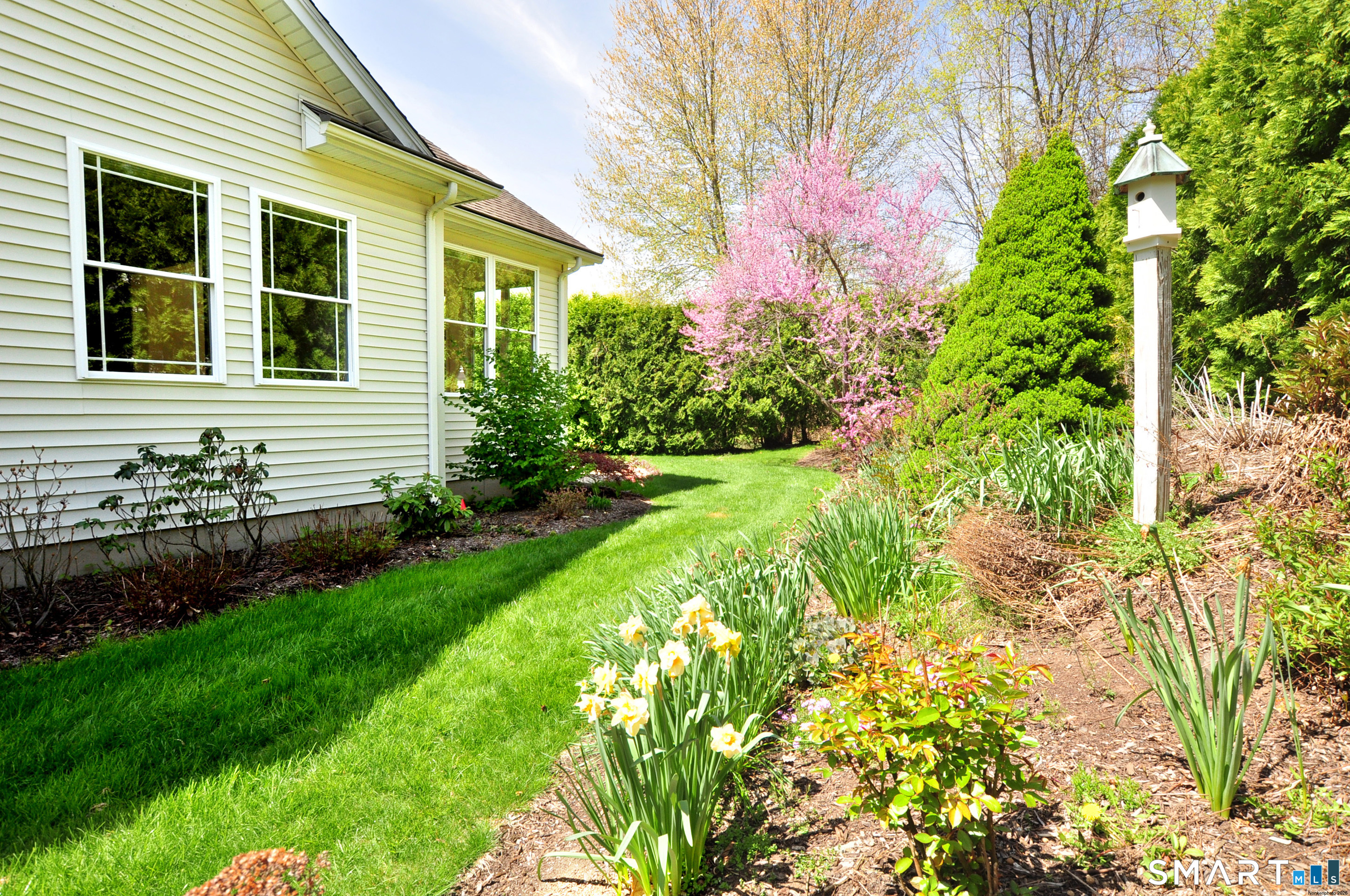 453 Tributary Lane Windsor, CT 06095 - Photo 33 of 37 a front view of a house with garden
