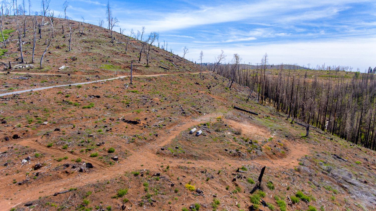 8580 Big Canyon Loop Road Grizzly Flats, CA 95636 - Photo 11 of 43