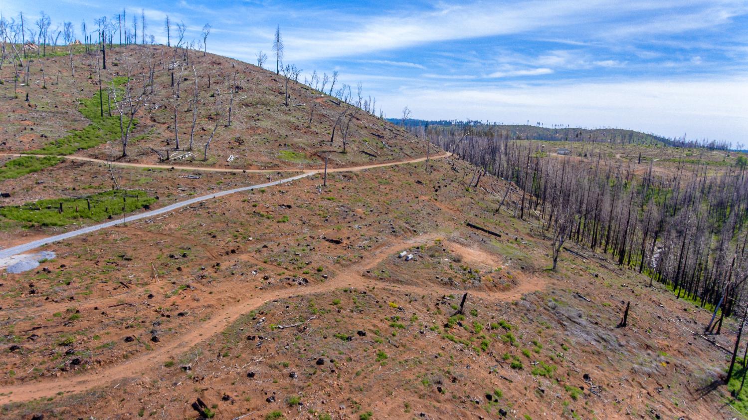 8580 Big Canyon Loop Road Grizzly Flats, CA 95636 - Photo 12 of 43